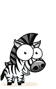 Zebra